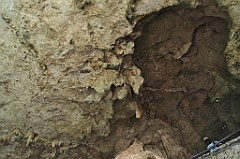 C5D_091986