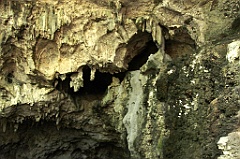 C5D_091987