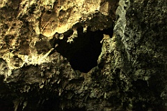 C5D_091991