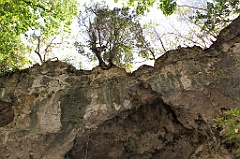 C5D_092004