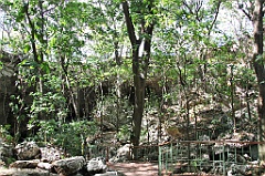 C5D_092007