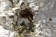 C5D_092035