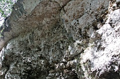 C5D_092036
