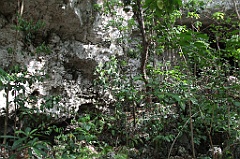 C5D_092038