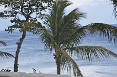 C5D_092046
