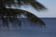 C5D_092063