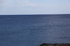 C5D_092070
