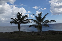 C5D_092079