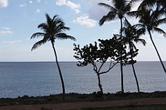 C5D_092089