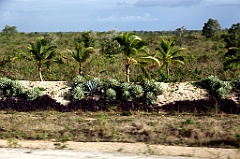 C5D_092114