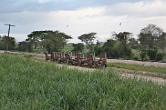 C5D_092185