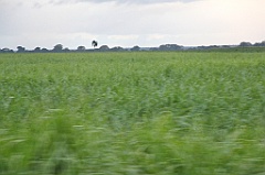 C5D_092186