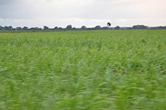 C5D_092187