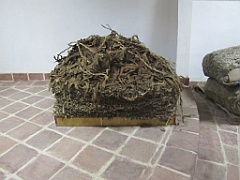 IMG_0898