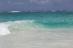 C5D_092231