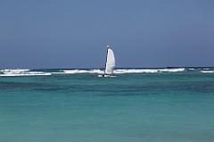 C5D_092366