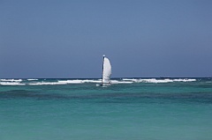 C5D_092367