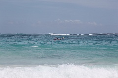 C5D_092440