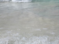 IMG_0691