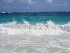 IMG_0730