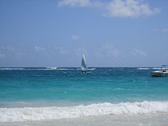 IMG_0737