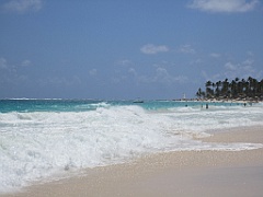 IMG_0768