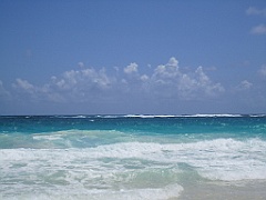 IMG_0769