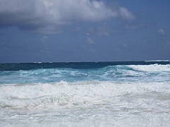 IMG_0790