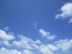 IMG_0800