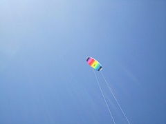 IMG_0806