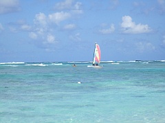 IMG_0841