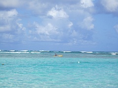 IMG_0846