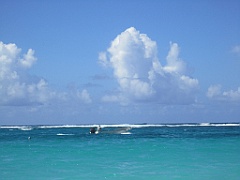 IMG_0868
