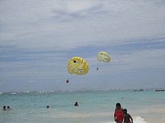 IMG_0947