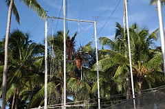 C5D_106993