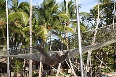 C5D_107003