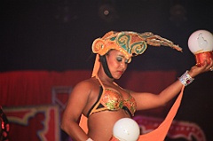 C5D_107919