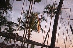 C5D_109509