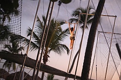 C5D_109510