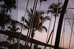 C5D_109511