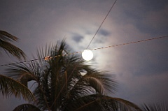 C5D_109531