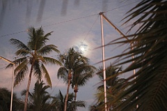 C5D_109533