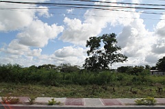C5D_106783