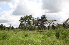 C5D_106790