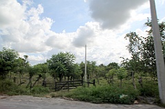 C5D_106796