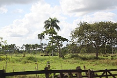 C5D_106810