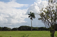 C5D_106820