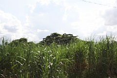 C5D_106826
