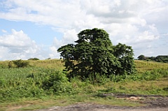 C5D_106831