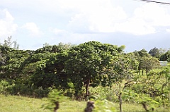 C5D_106832